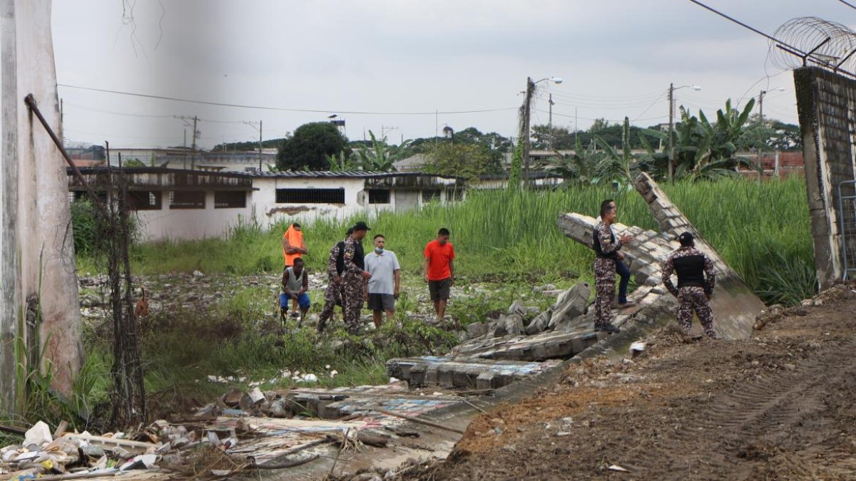 La estructura que colapsó tiene aproximadamente 50 metros de longitud.