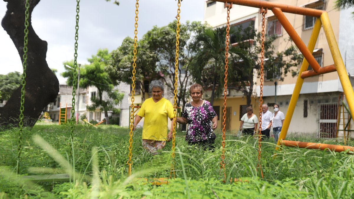 El monte ha cubierto los diferentes parques de la ciudad, como el ubicado en las manzanas 26, 27 y 24 de la Alborada XIII etapa, donde los juegos infantiles han desaparecido.
