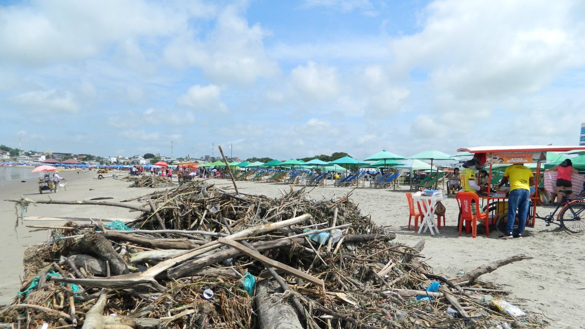 Estos son apenas algunos de los troncos que la comunidad ha retirado este fin de semana.