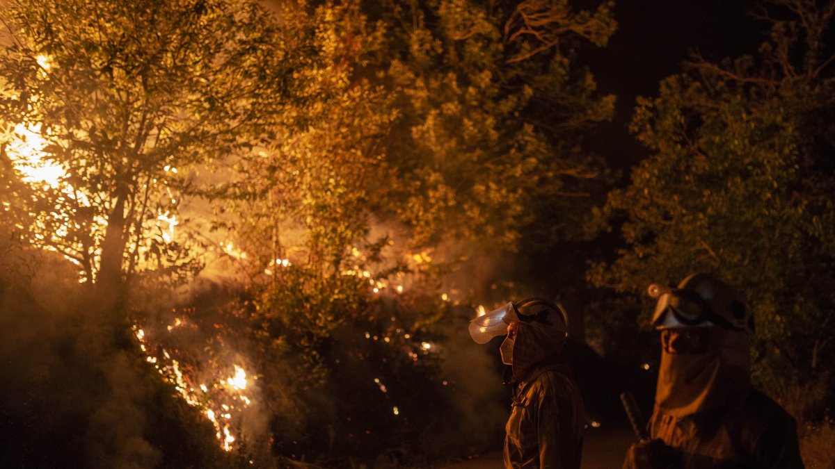 Durante el 2022 se dieron varios incendios forestales en España.