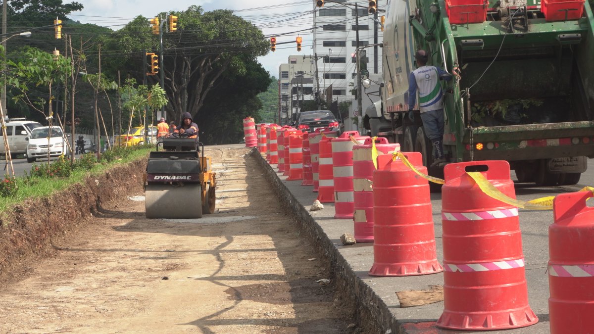 Sitio. Así es el escenario en un tramo del parterre central de la avenida Leopoldo Carrera.