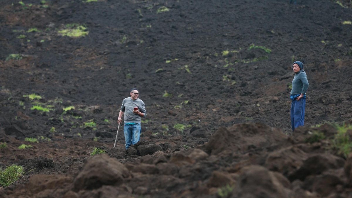 Cuerpos de bomberos de la ciudad y de otras zonas, incluso de Quito y Guayaquil se están desplazando a la zona para apoyar las labores de rescate.