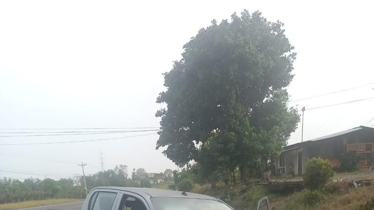 No se ha precisado el tipo de los automotores recuperados, pero se mostró imágenes de camionetas