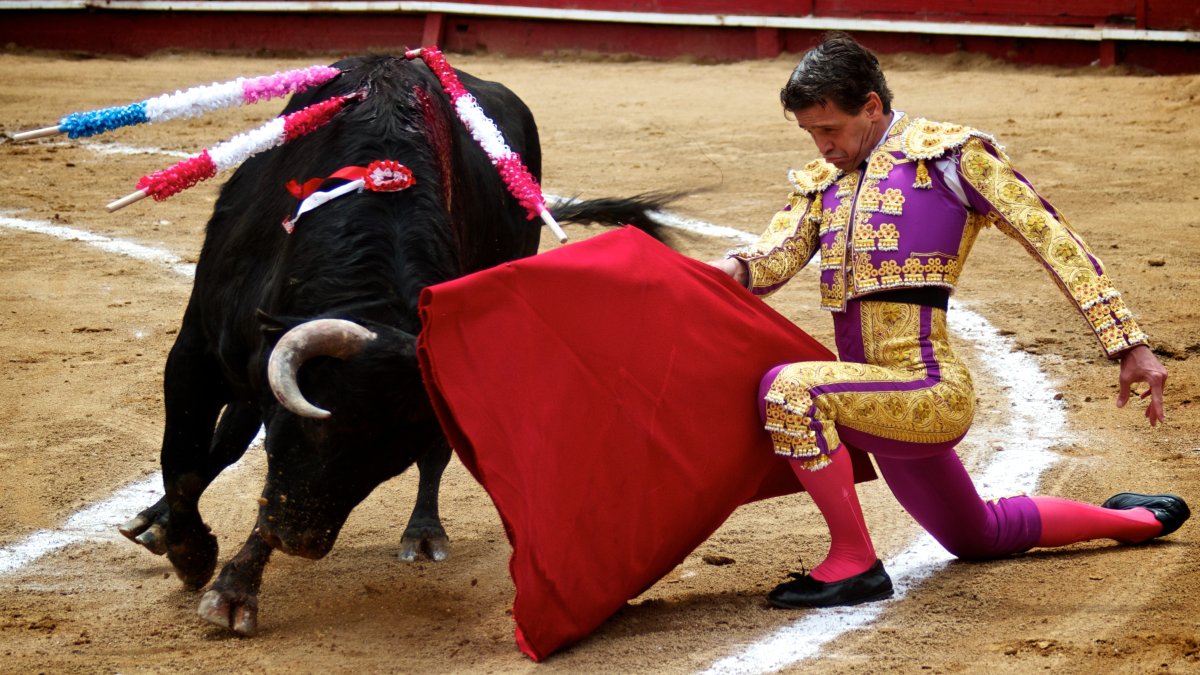 Albán en una de sus últimas presentaciones. Fue ganador de la Feria de Ambato 2022.