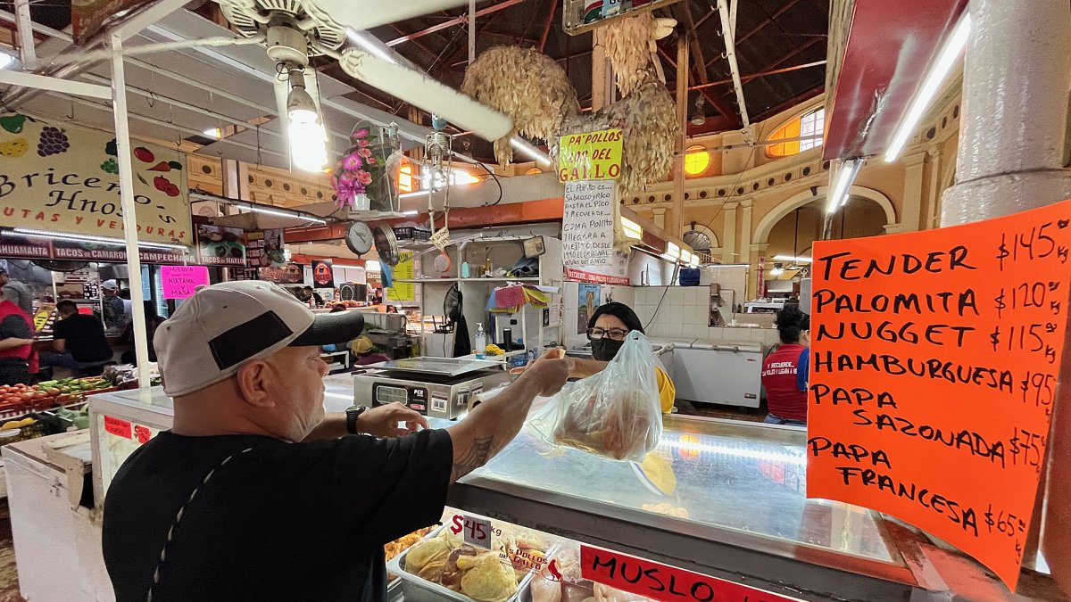 Una  foto refrencial sobre el caso de gripe aviar en humanos.