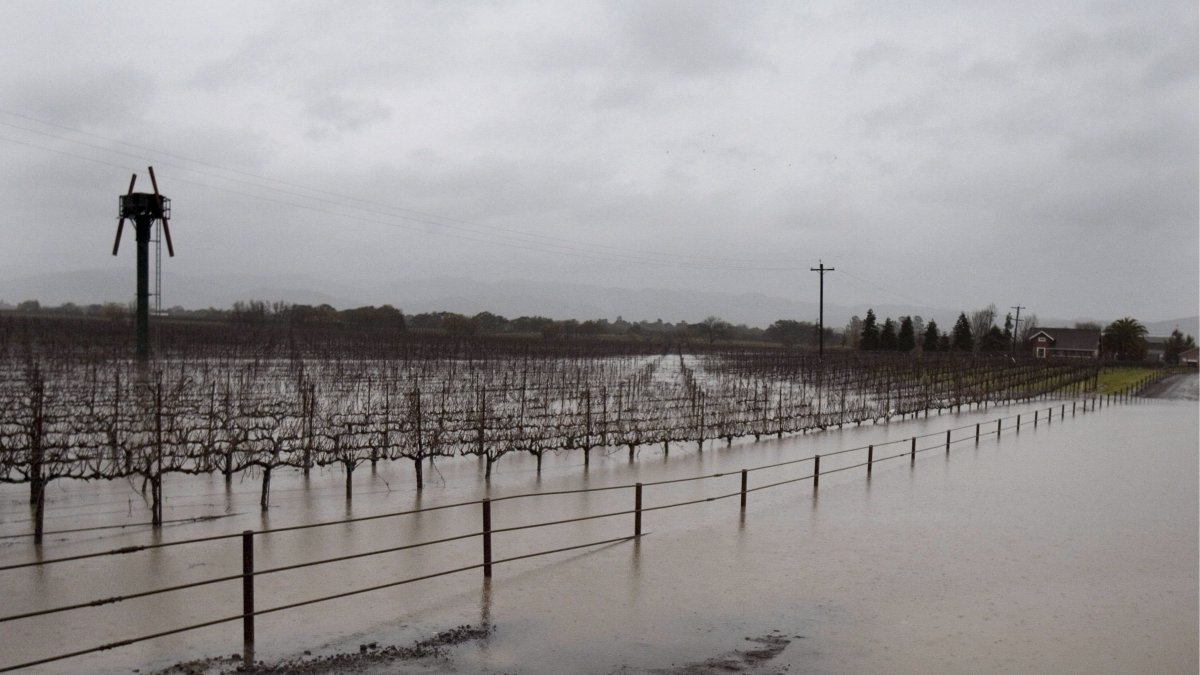 La inundación de viñedos y caminos rurales se presentan tras una reciente tormenta en Sonoma (California, EE.UU.).