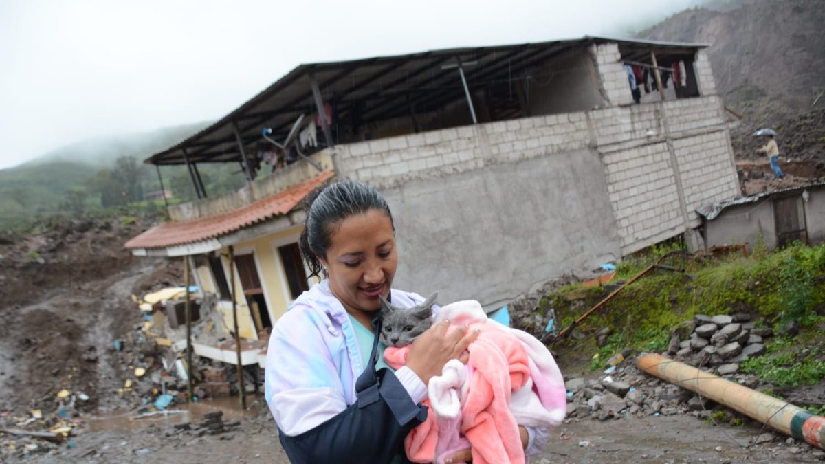 Alexandra Maliza logró encontrar a su gato llamado Botas.
