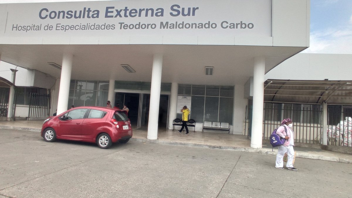 Hospital Teodoro Maldonado Carbo.