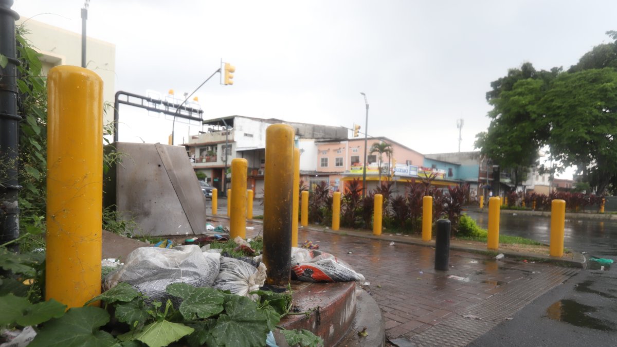 La basura se estanca en el parque