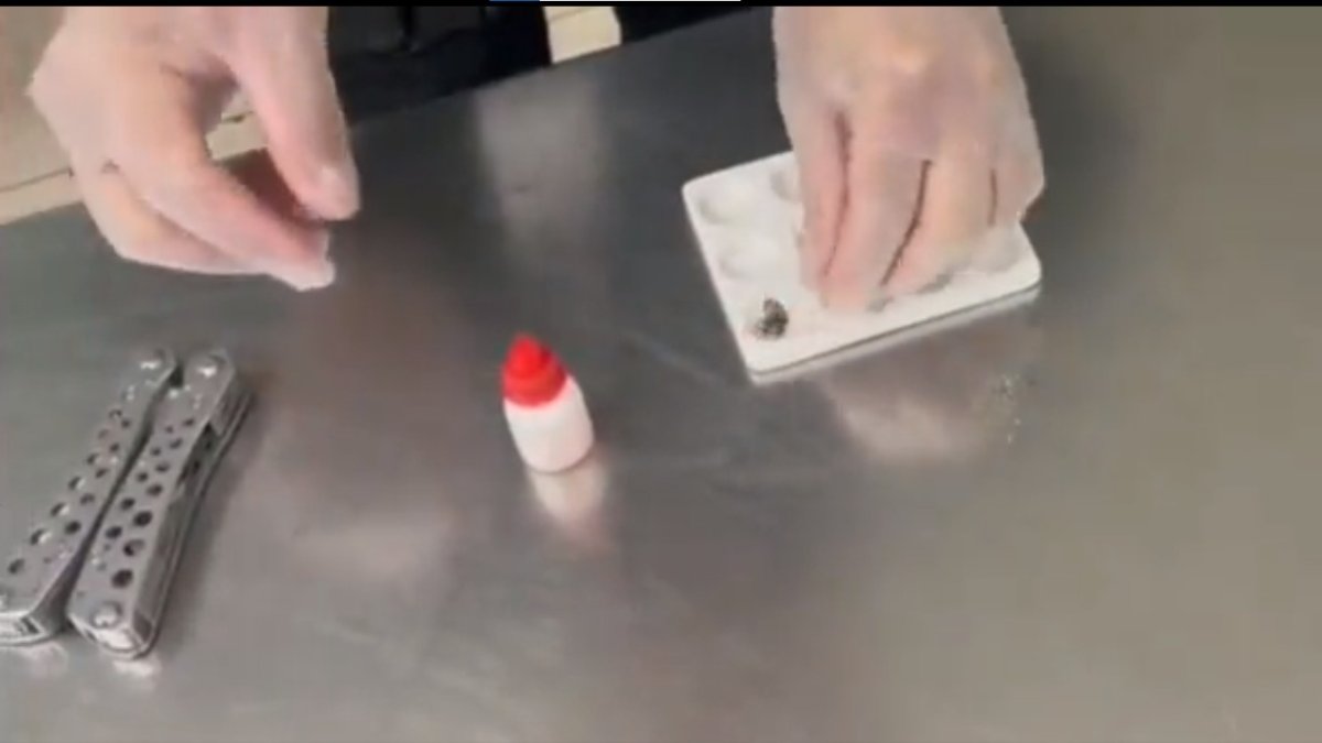 Parte de la droga fue encontrada en granos de café.