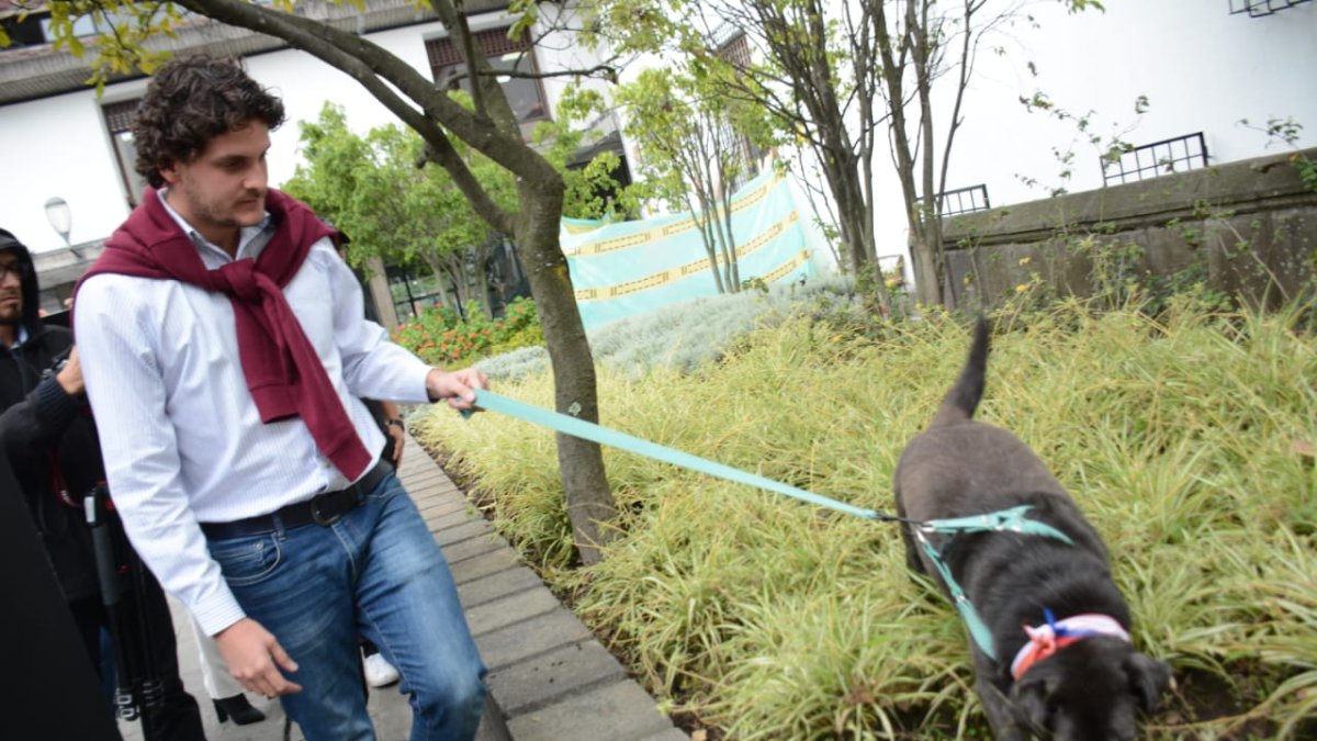 El animal estuvo a cargo, por cuatro años, por trabajadores de la Presidencia.