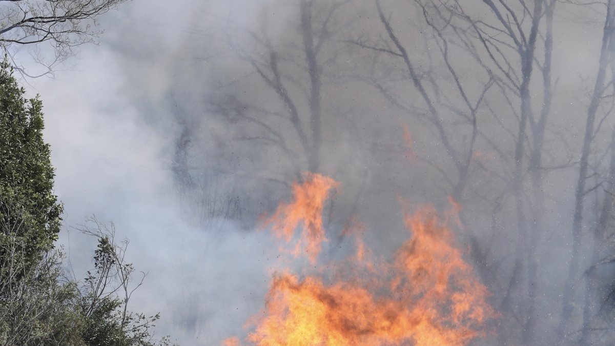 Unos bomberos trabajan este viernes 31 de marzo en las tareas de extinción del incendio que comenzó  en las laderas del monte Naranco, en las cercanías del casco urbano de Oviedo.
