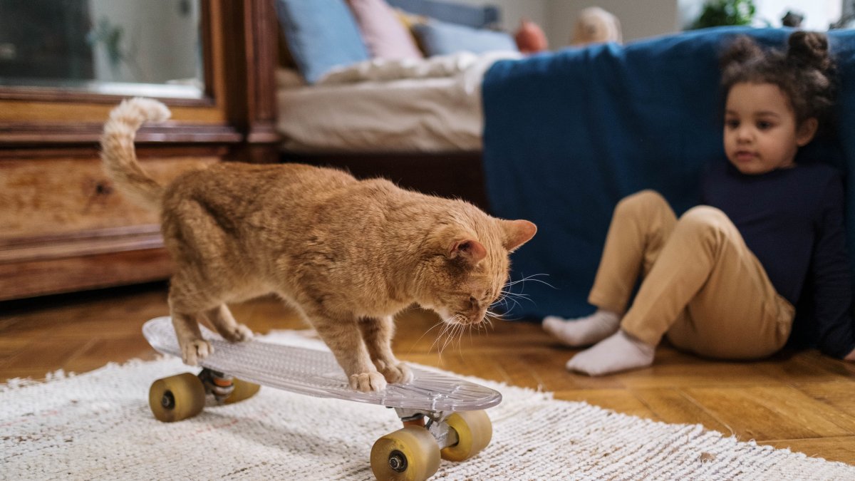 Panorama. Los resultados de un estudio que se publicó esta semana revelan ciertas ventajas del nexo mascotas-niños.