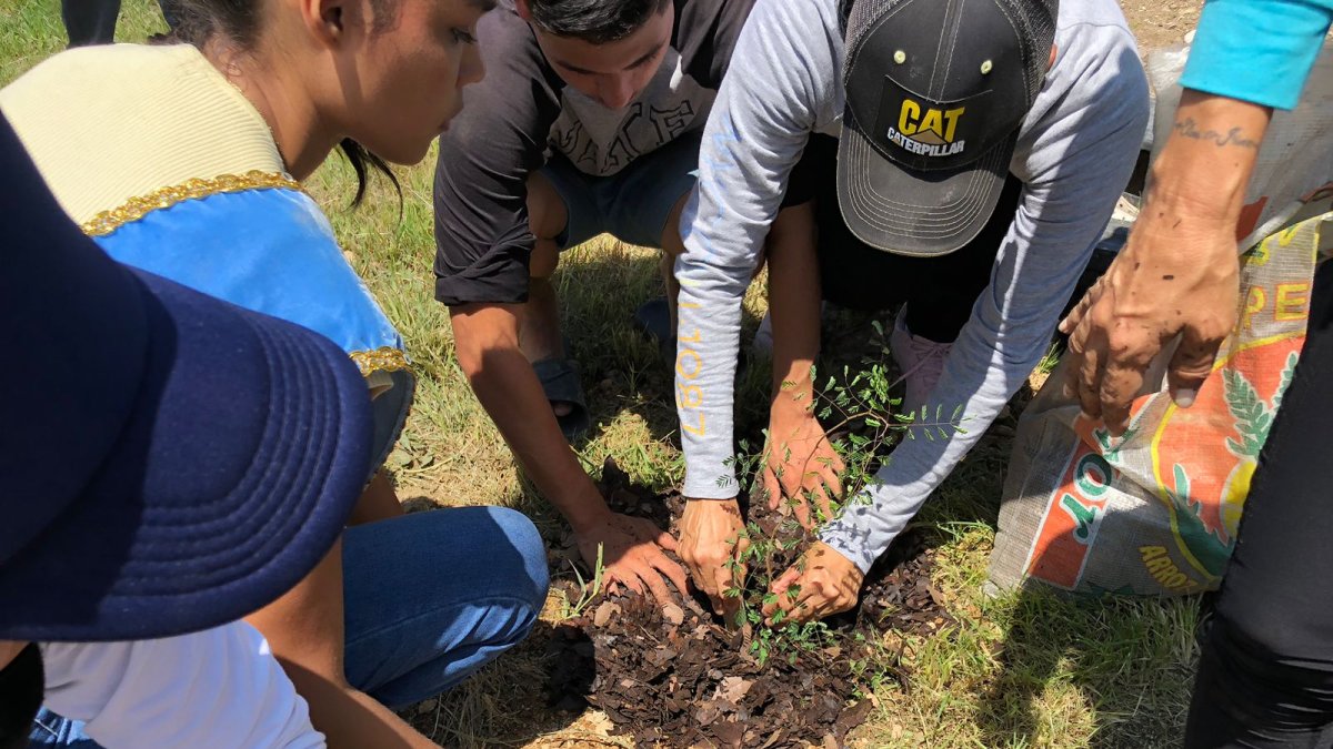 Las especies fueron plantadas en la cooperativa Julio Col 2.