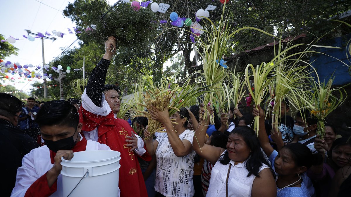 Un sacerdote bendice a los feligreses durante la celebración del Domingo de Ramos.