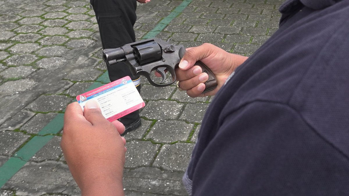 El porte y tenencia deberá cumplir con los requisitos establecidos en la normativa