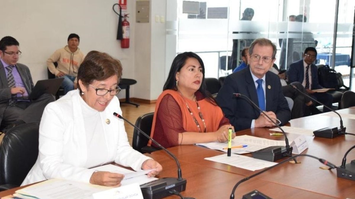 Gina Aguilar, presidenta de la institución, en la mesa legislativa.