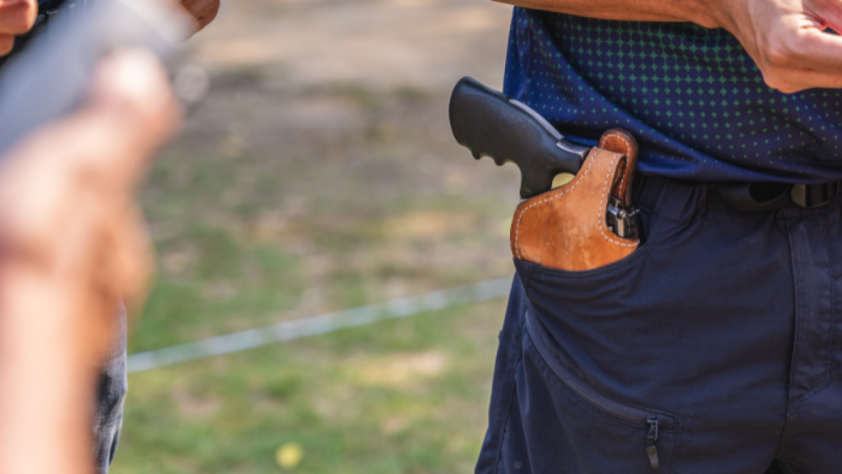 El porte y tenencia deberá cumplir con los requisitos establecidos en la normativa