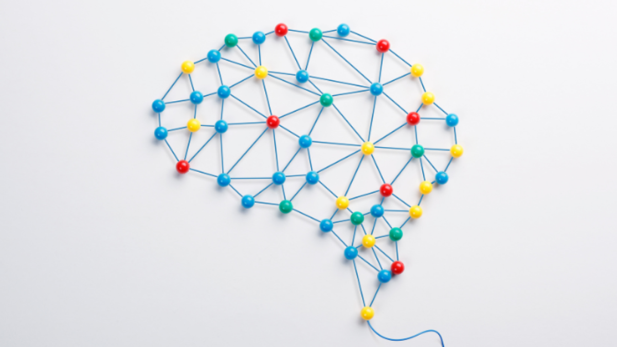 El nuevo atlas neuronal de la larva de la mosca del vinagre incluye 3.016 neuronas.