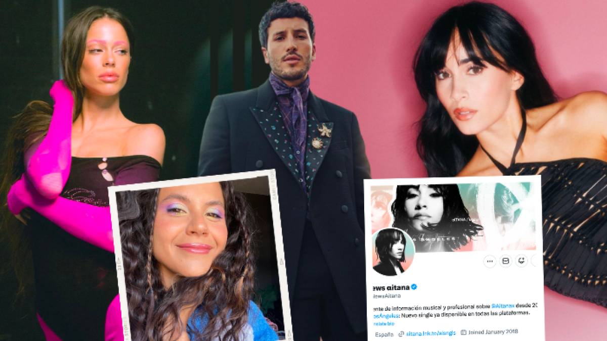 La opinión o conocimiento en ciertos temas, se ha vuelto fundamental para el desarrollo de su carrera de un artista.