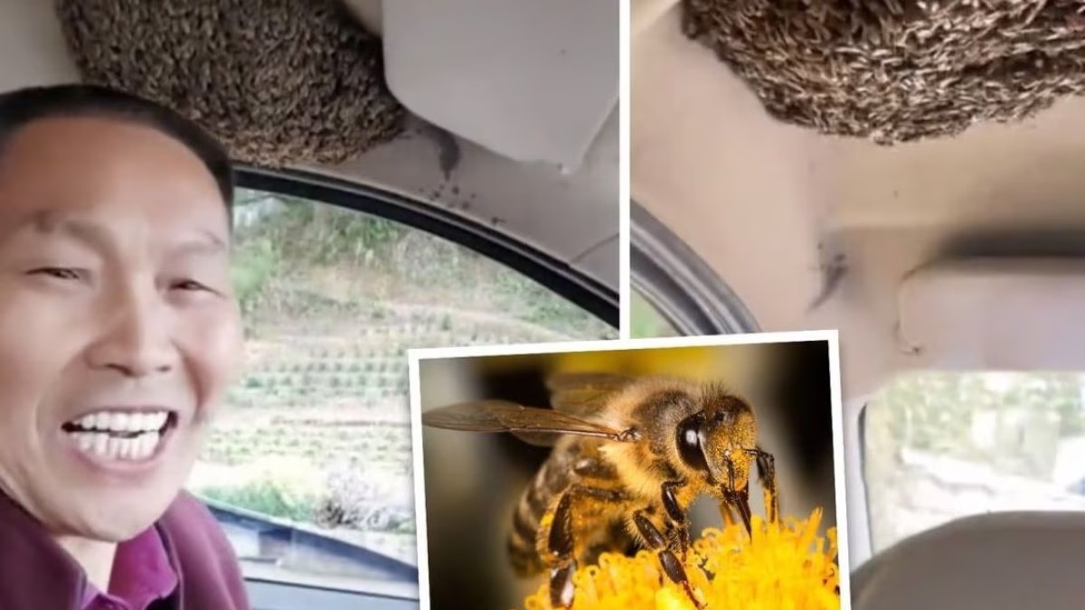 Millones de personas han visto las grabaciones, publicadas en la plataforma Douyin -versión de TikTok para el mercado chino.