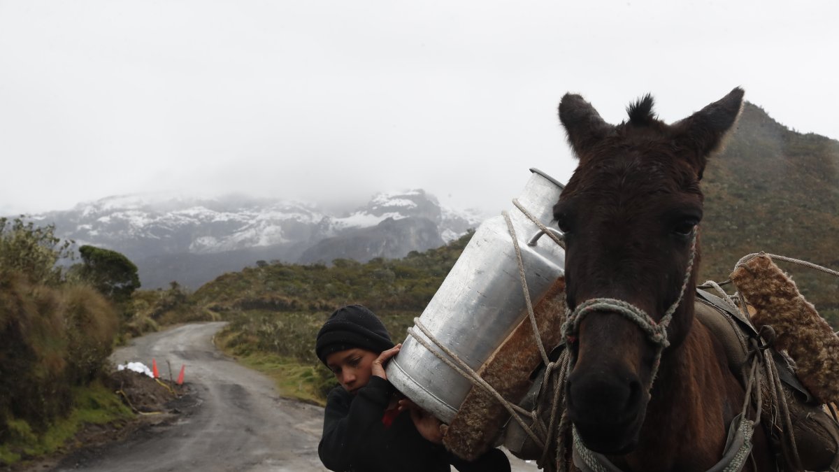 Los vecinos del volcán han aprendido a convivir en ese lugar.