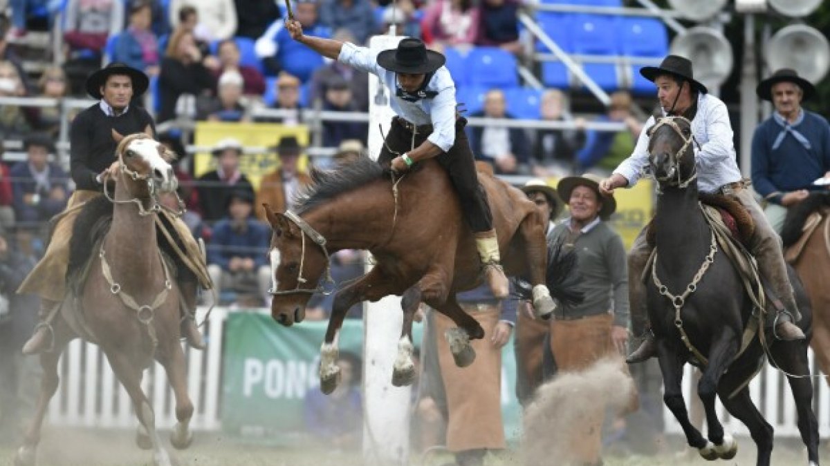 La práctica de jinetear caballo, espectáculos folclóricos más típicos de la región.