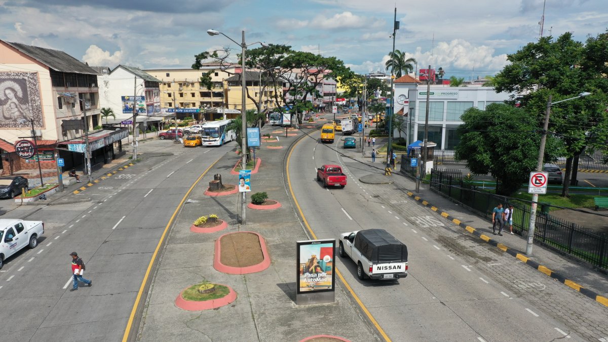 Caso. En el parterre central de la avenida Rodolfo Baquerizo Nazur, la principal arteria de la ciudadela Alborada, se talaron los árboles.