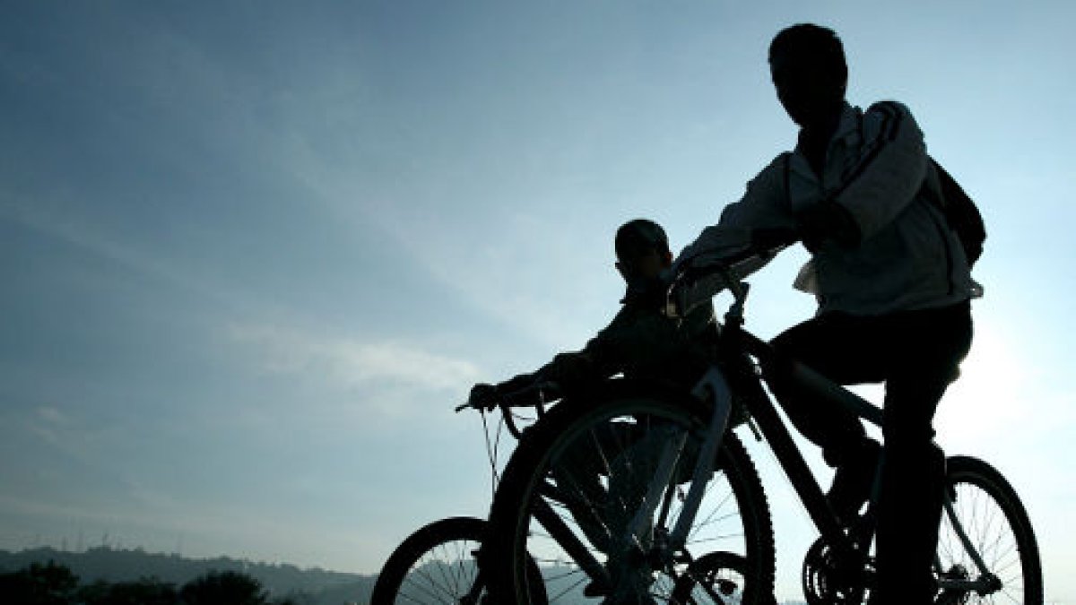 Los países que más las adquieren son Alemania, Holanda, Francia y España