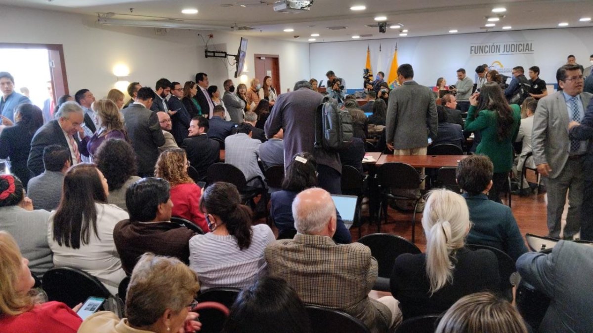 Terán, a través de una acción de protección, reclama por el presupuesto para el Consejo de la Judicatura