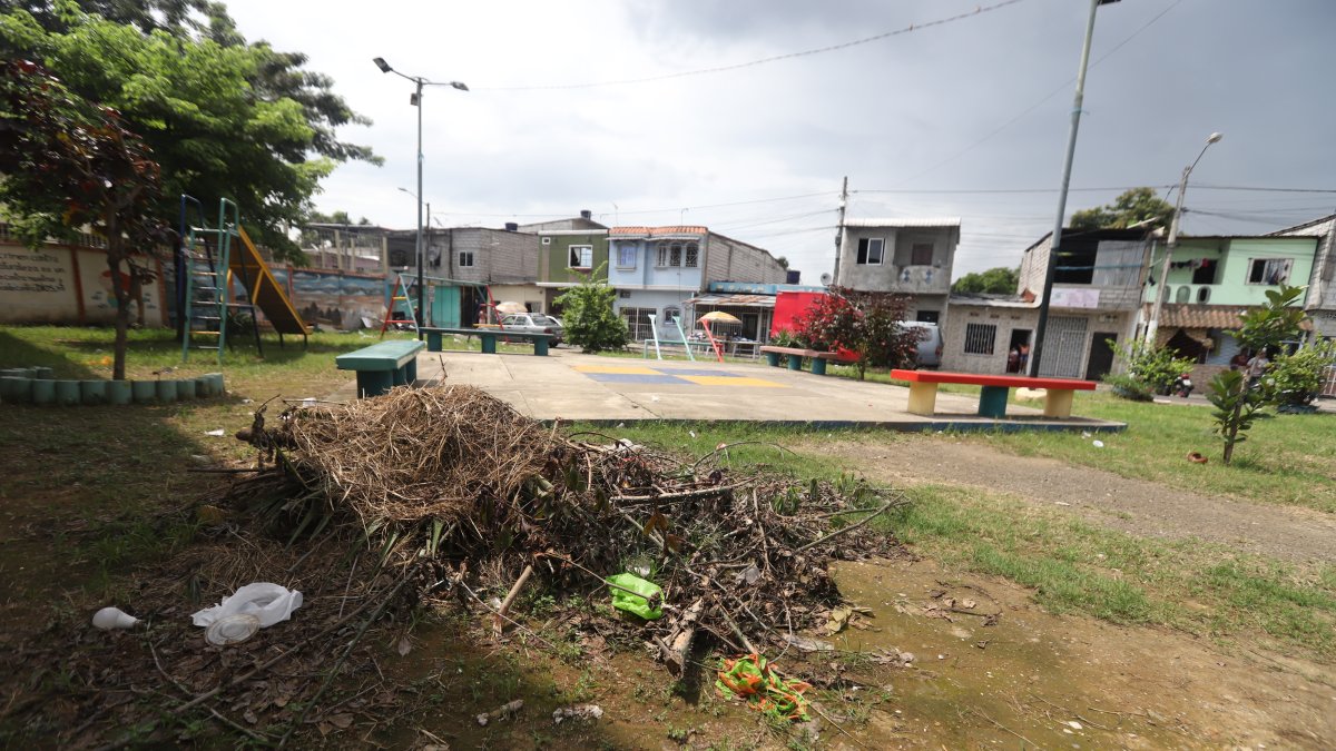 El parque está ubicado en las calles 41 y Paltas, en Guayaquil.