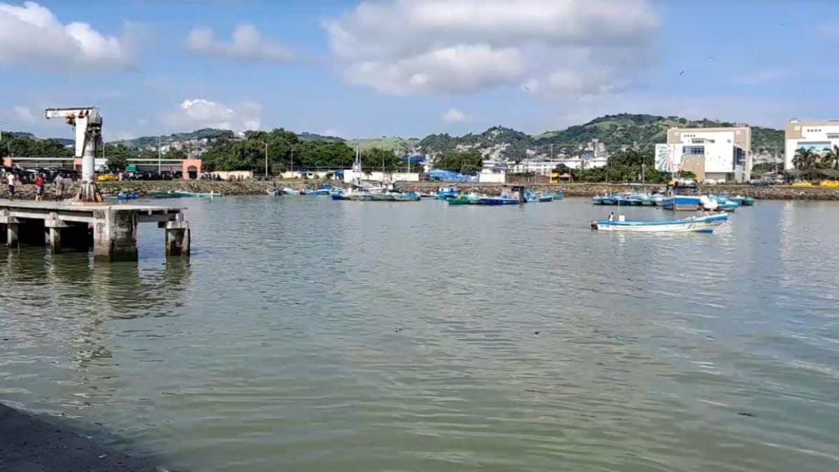 Algunos de los cadáveres continúan en las bodegas del Puerto