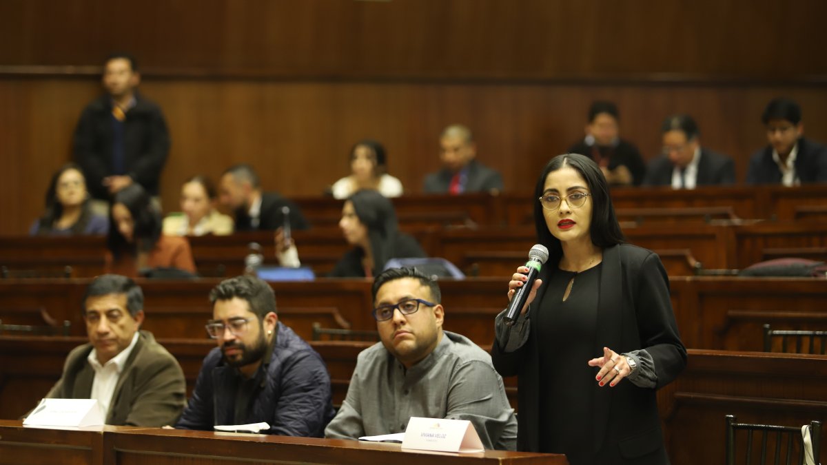 Viviana Veloz, una de las proponentes, en la primera sesión de la mesa legislativa