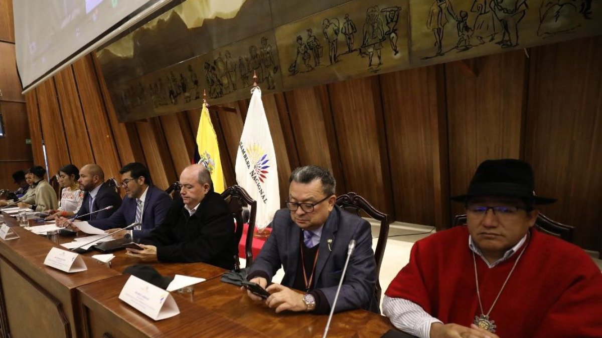 La información surgió de un cruce entre el Ministerio de Trabajo. Consejo de la Judicatura y la Contraloría.