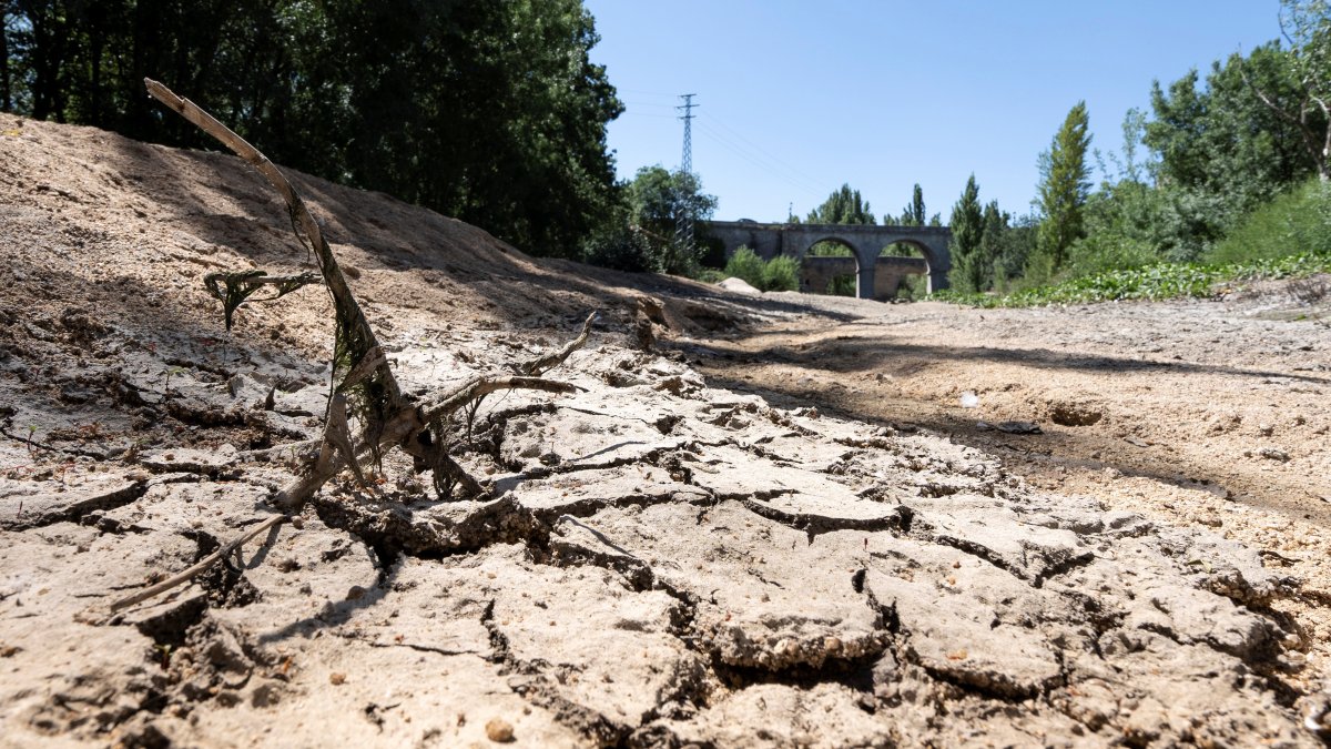 En la imagen, cauce del río Adaja a su paso por la provincia española de Ávila.