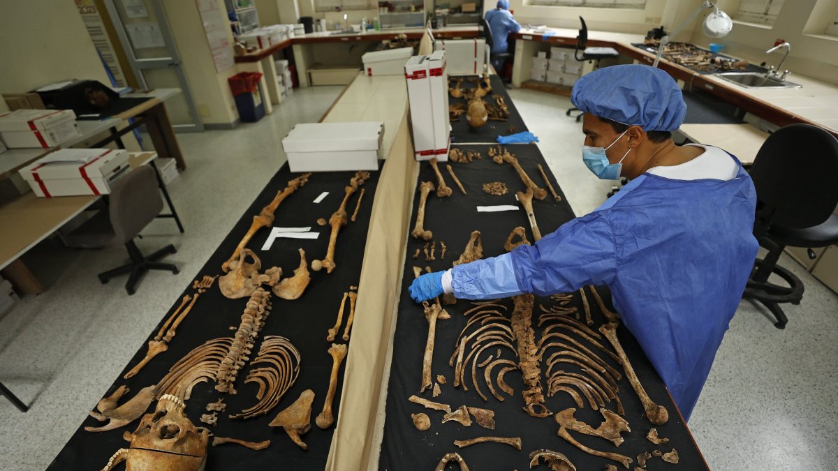 Investigación. Un forense de medicina legal analiza un esqueleto, en Bogotá.