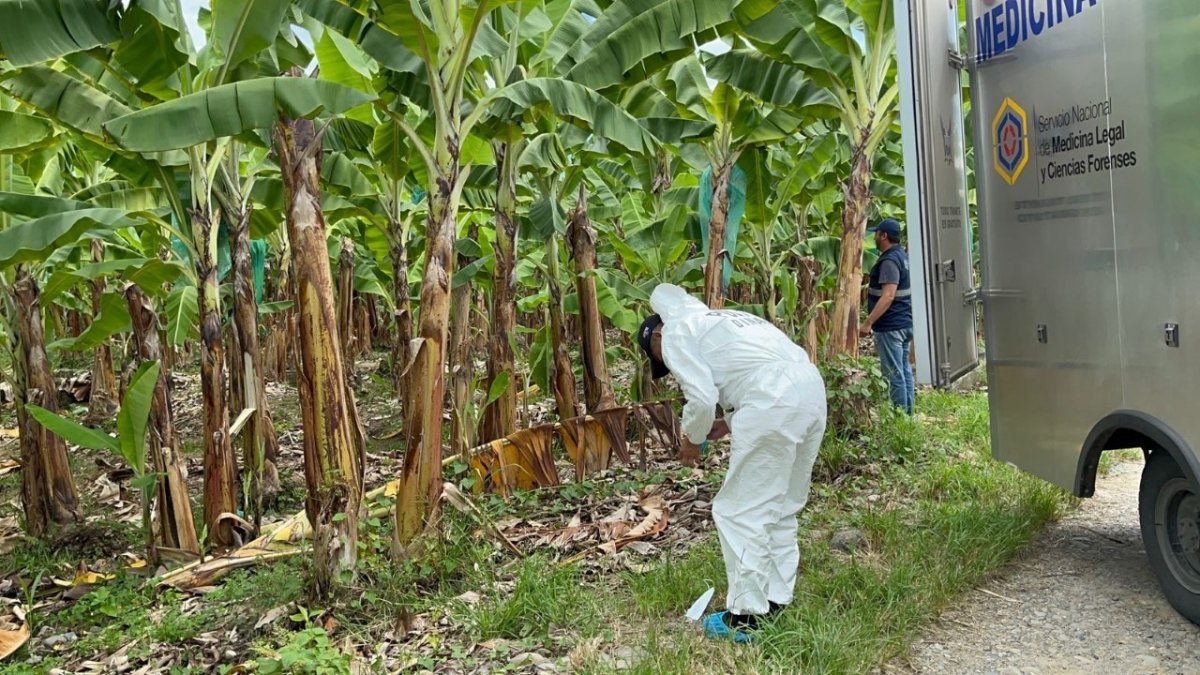 Trabajadores de una bananera hallaron el cadáver en estado de descomposición.