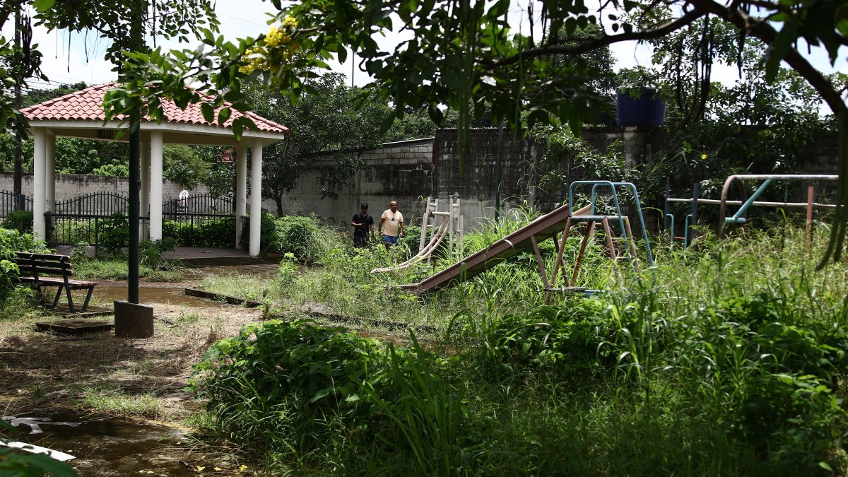 Descuido. La maleza ha invado por completo el espacio y el único mantenimiento que recibe, es dado por los habitantes.
