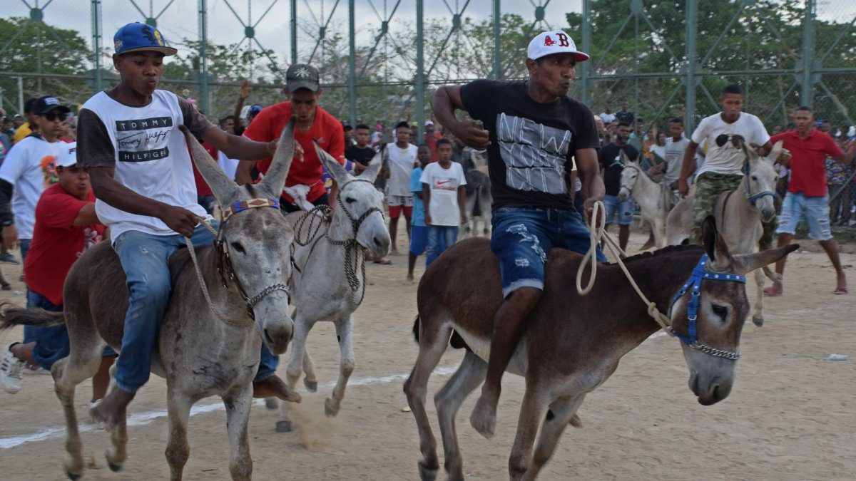 Asistentes participan en el Festival Nacional del Burro, en San Antero, Colombia