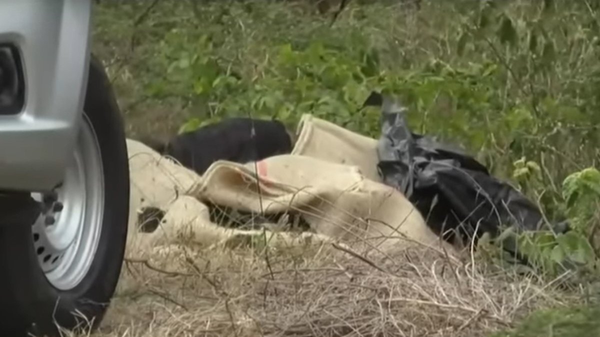Los cuerpos hallados en La Guajira estaban envueltos en plásticos y tapados por bolsas.