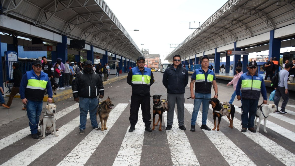 Control. Los canes asisten a los supervisores de seguridad en dar cumplimiento a las normas de seguridad, evitando los altercados entre pasajeros y detectando armas blancas y estupefacientes.