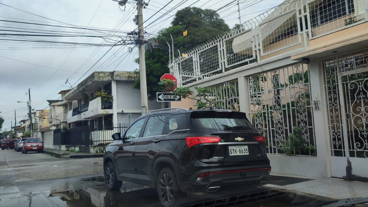 Las ramas tapan la señalética