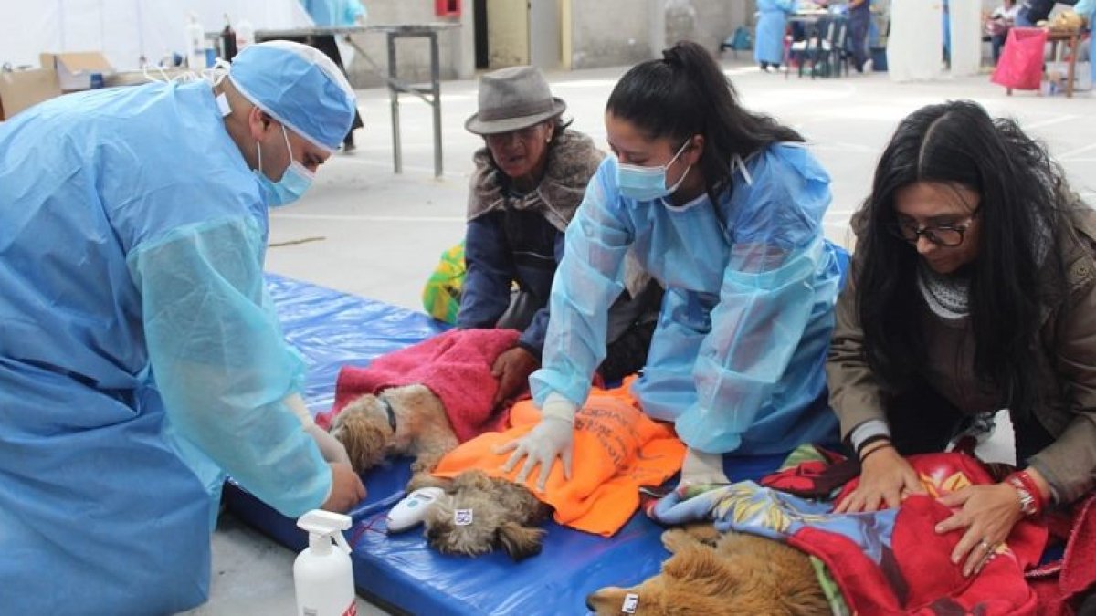 Intervención. Los especialistas de la UBA fueron a Nono (noroccidente de Pichincha) el fin de semana.