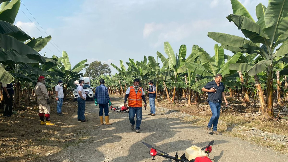 Criterio. El sector tiene expectativas positivas de la nueva reforma.