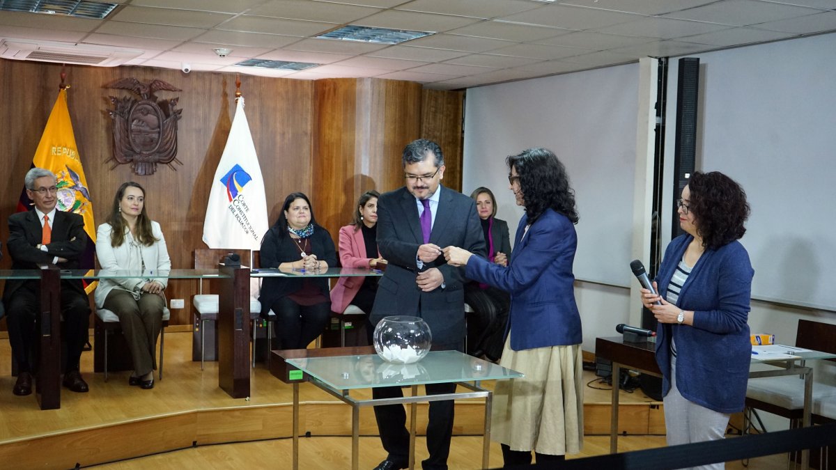 El 29 de marzo de 2023 el Pleno de la Corte Constitucional aprobó el dictamen de admisibilidad.