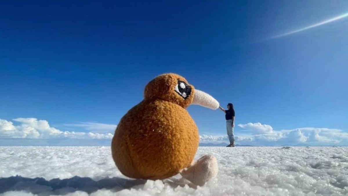 Kimberley y su peluche Kiwi viajan solos. La joven es originaria de Auckland, Nueva Zelanda