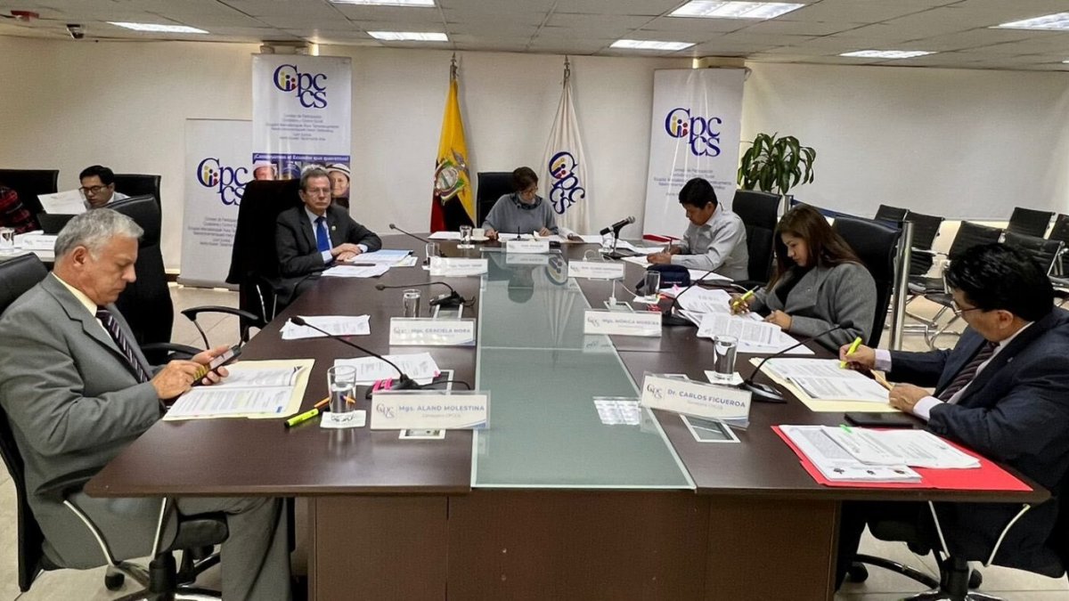 El Pleno del Consejo de Participación conoció las renuncias el 19 de abril.