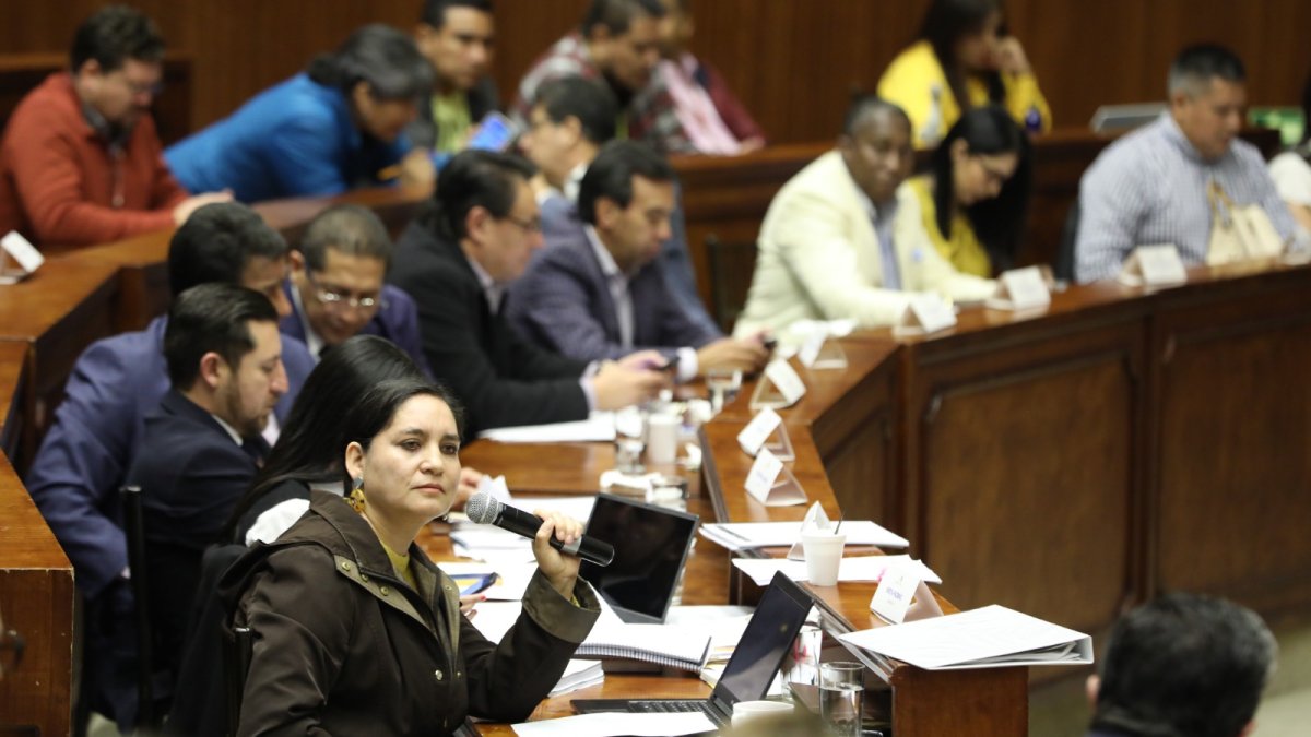 Interpelación. La legisladora expulsada de Pachakutik dirige una mirada cargada de veneno a Édgar Neira, abogado defensor del presidente Guillermo Lasso.