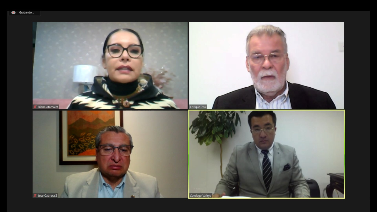 El cronograma fue aprobado por el Pleno en sesión virtual.