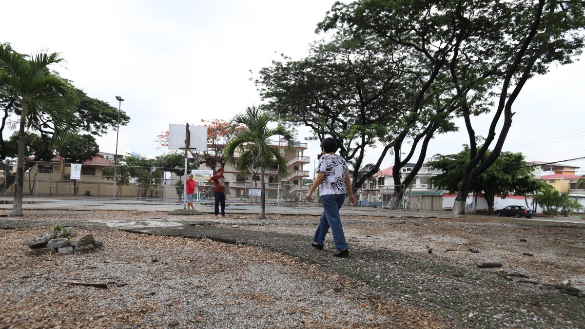 En las manzanas 90 y 94 de la ciudadela La Garzota, las áreas verdes requieren atención.